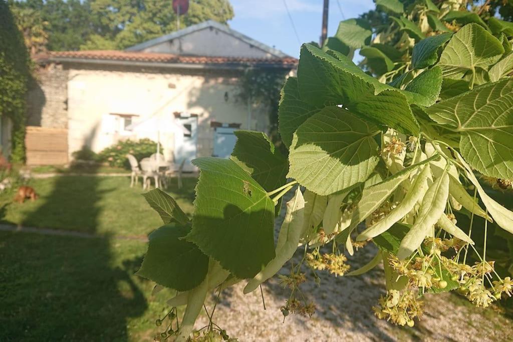 Entire Apartment With Swimming Pool Near Aubeterre Saint-Romain  Exterior photo
